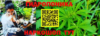 СК Ангарск