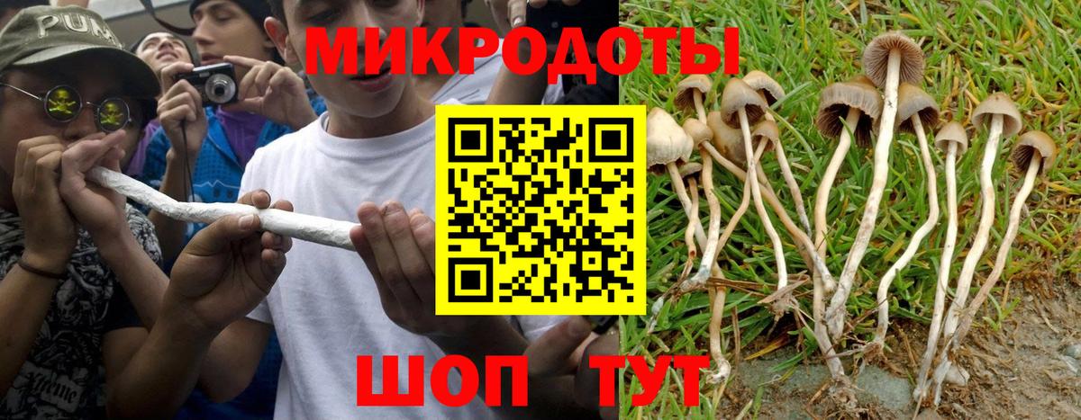 Галлюциногенные грибы MAGIC MUSHROOMS Азнакаево