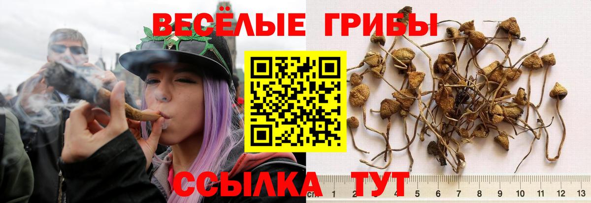Азнакаево  Галлюциногенные грибы Magic Shrooms  Вход с VPN 